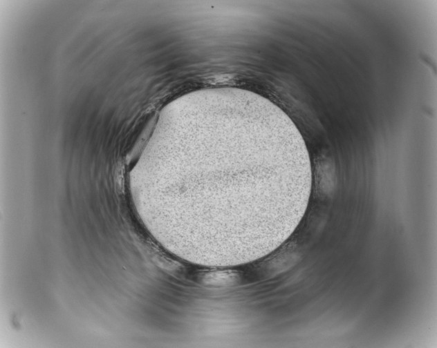 X0000099310274200805301200