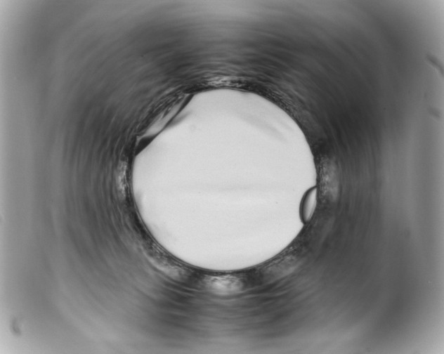 X0000099310275200805301200