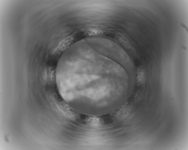 X0000099310276200805301200