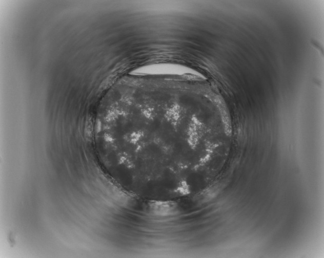 X0000099310277200805301200