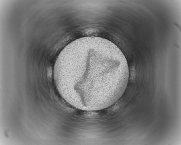 X0000099310278200805301201