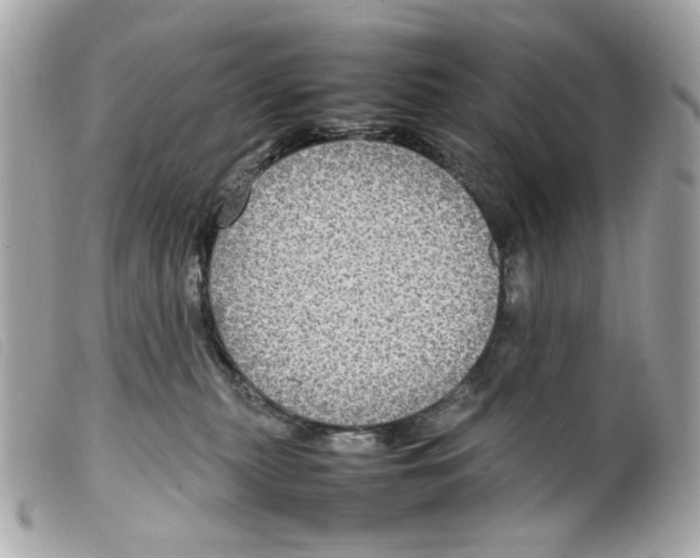 X0000099310279200805301201