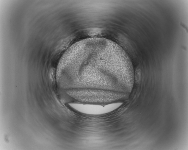 X0000099310280200805301201