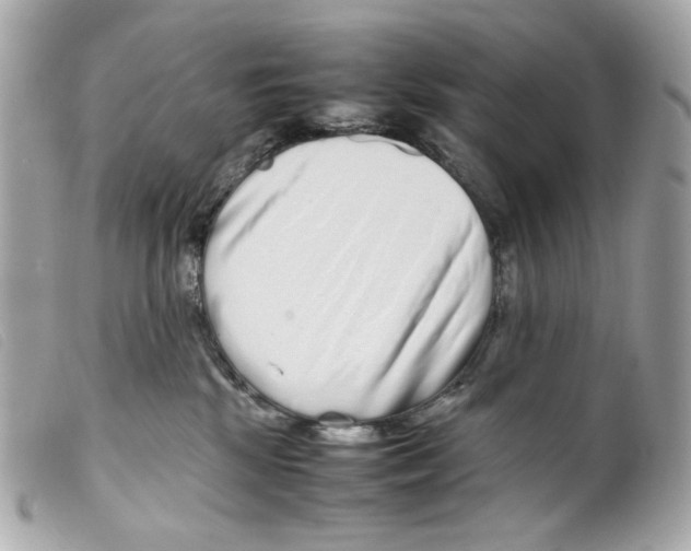 X0000099310281200805301201