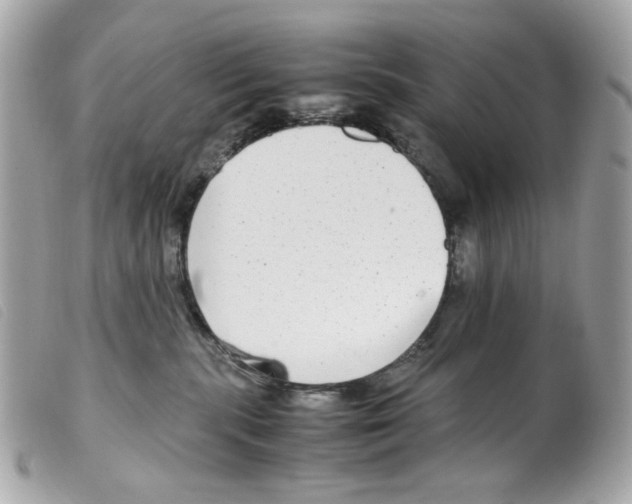 X0000099310283200805301201