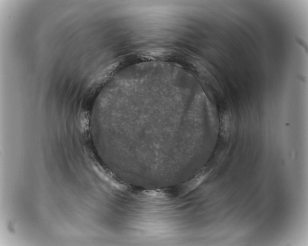 X0000099310284200805301201