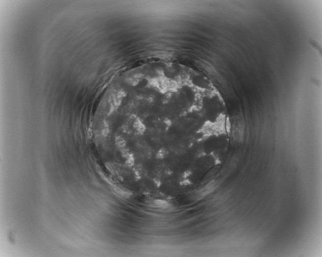 X0000099310285200805301201