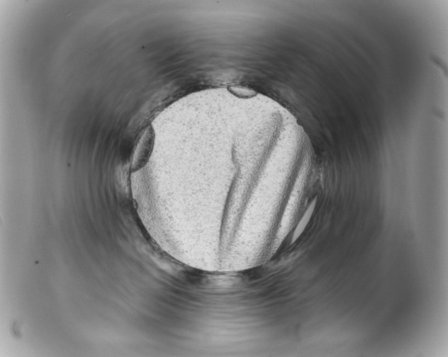 X0000099310286200805301201