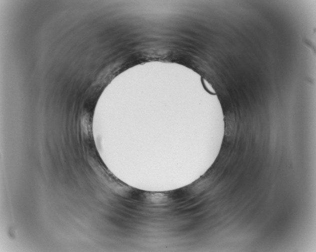 X0000099310287200805301201