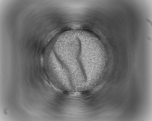 X0000099310288200805301201