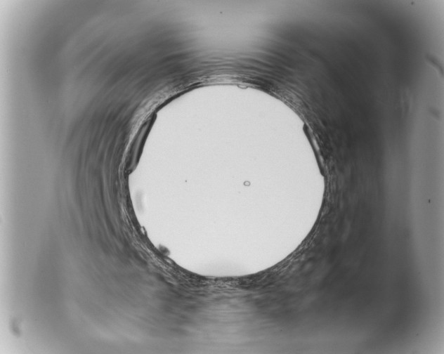 X0000099310289200805301200
