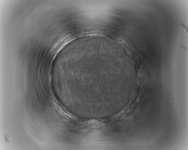 X0000099310290200805301200