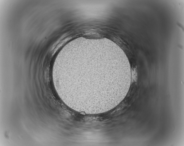 X0000099310291200805301200