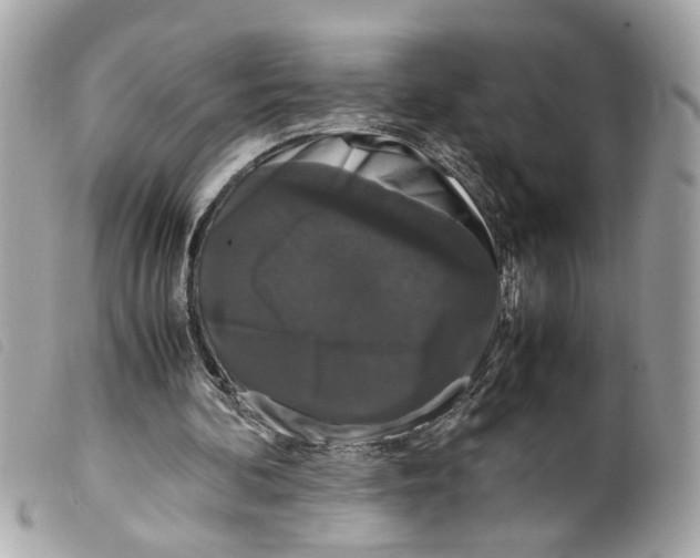 X0000099310292200805301200