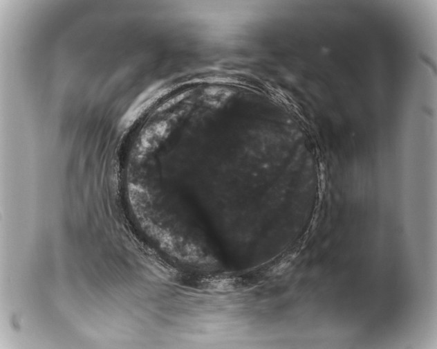 X0000099310295200805301200