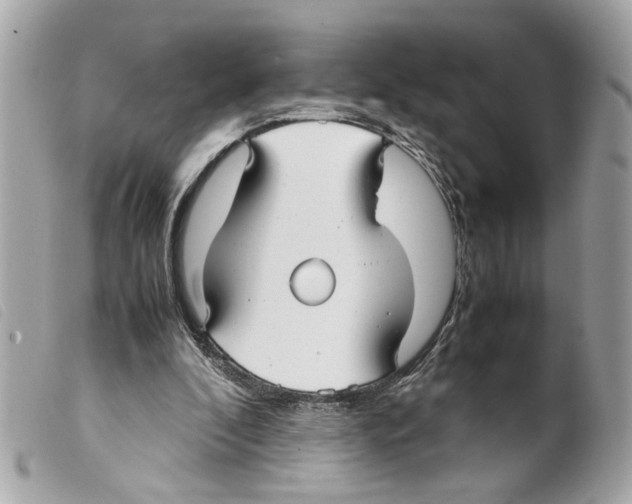 X0000099310296200805301200