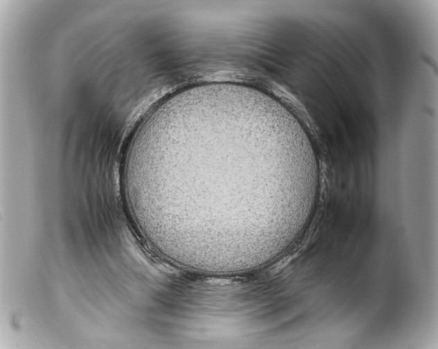 X0000099310298200805301200