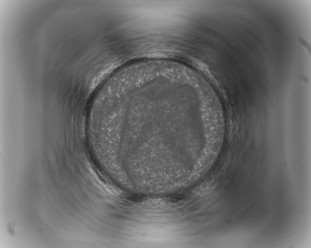 X0000099310299200805301200