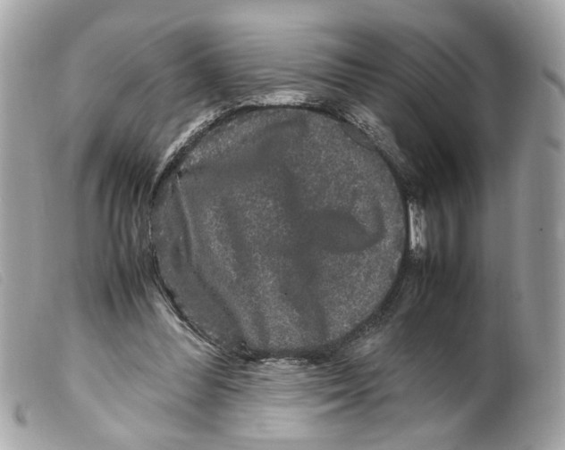 X0000099310300200805301200