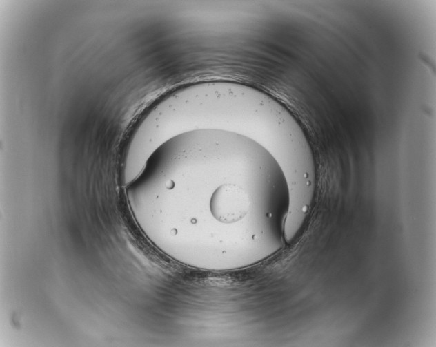 X0000099310302200805301200