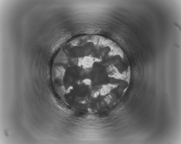 X0000099310303200805301200