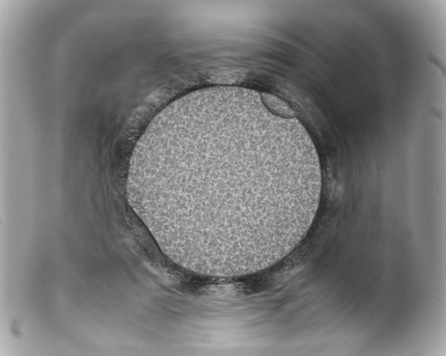 X0000099310307200805301200