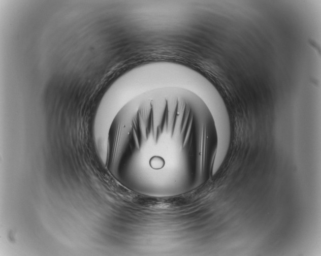 X0000099310312200805301200