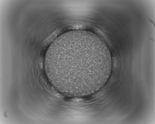 X0000099310313200805301200