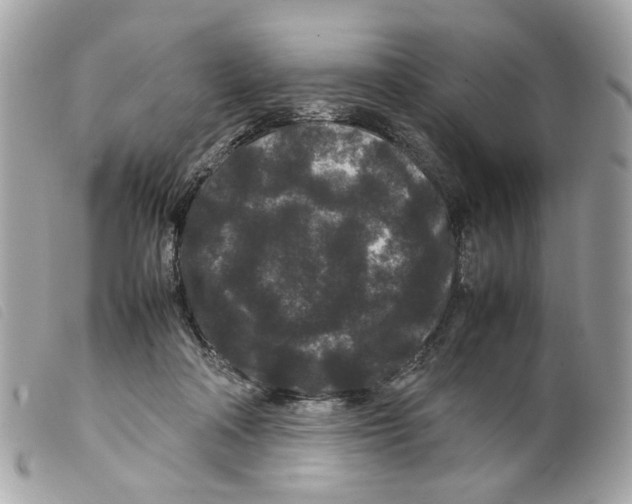 X0000099310314200805301200