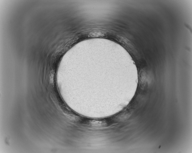 X0000099310315200805301200