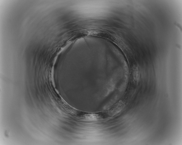 X0000099310316200805301200