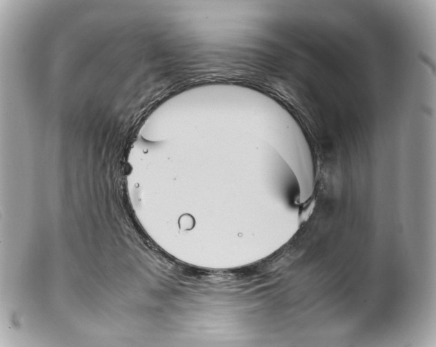 X0000099310317200805301200
