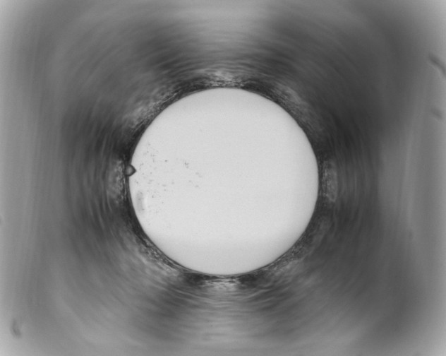 X0000099310318200805301200