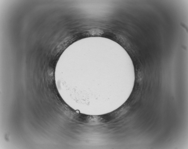 X0000099310321200805301200