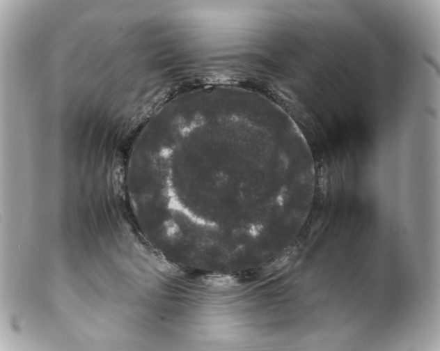 X0000099310322200805301200