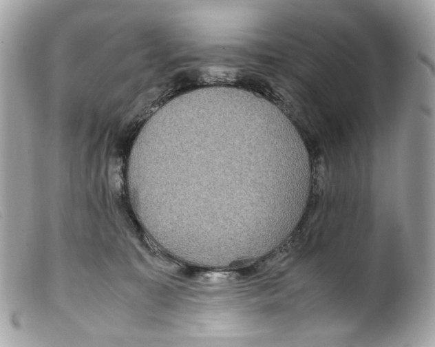 X0000099310323200805301200