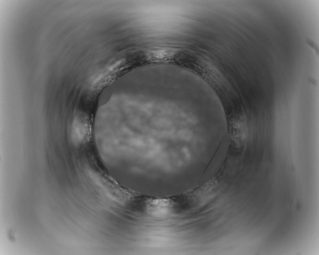 X0000099310324200805301200