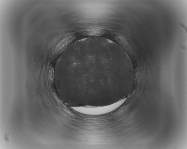 X0000099310325200805301200