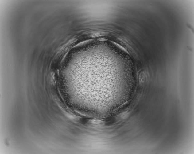 X0000099310327200805301200