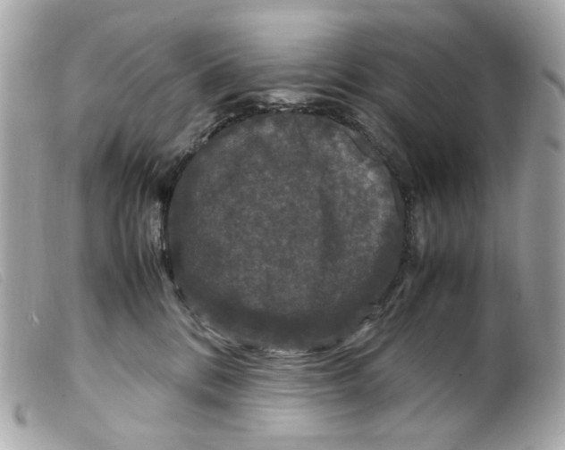 X0000099310328200805301200