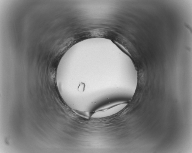 X0000099310329200805301159