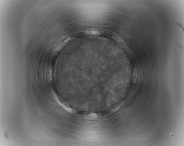 X0000099310330200805301159