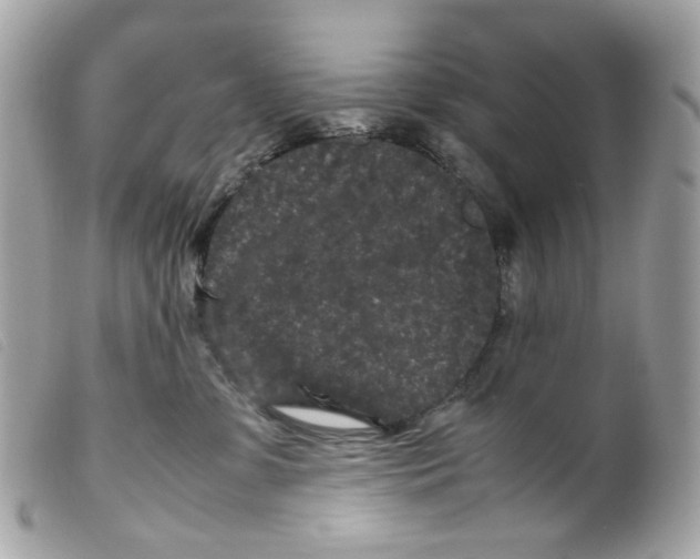 X0000099310331200805301159