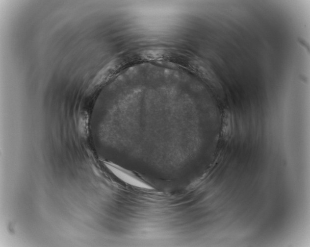 X0000099310332200805301159