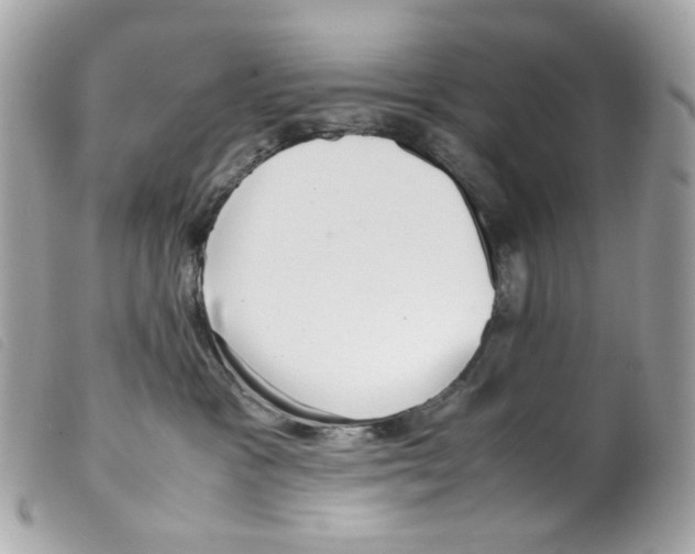 X0000099310333200805301159