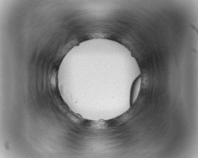 X0000099310334200805301159