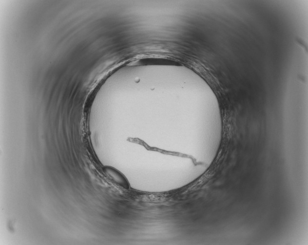 X0000099310338200805301159