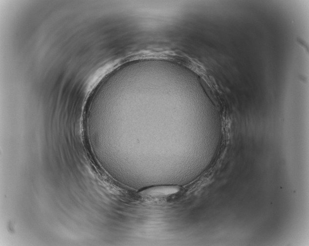 X0000099310340200805301159