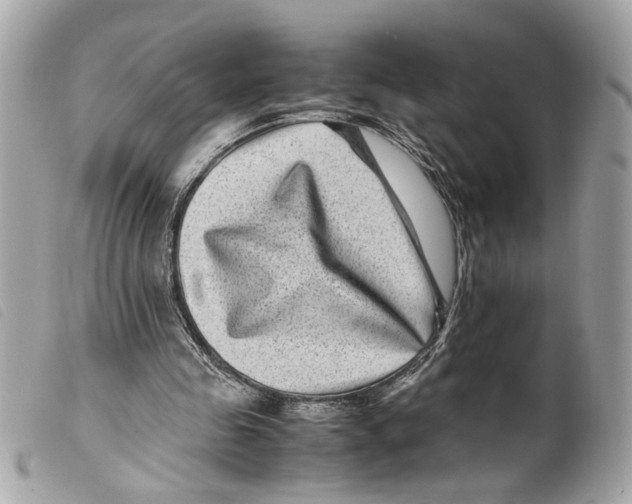 X0000099310341200805301159