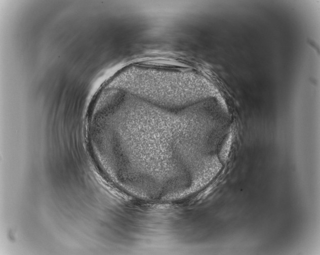 X0000099310342200805301159